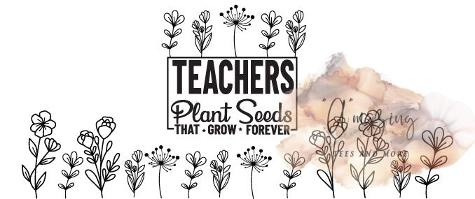 Teacher's Plant Seeds