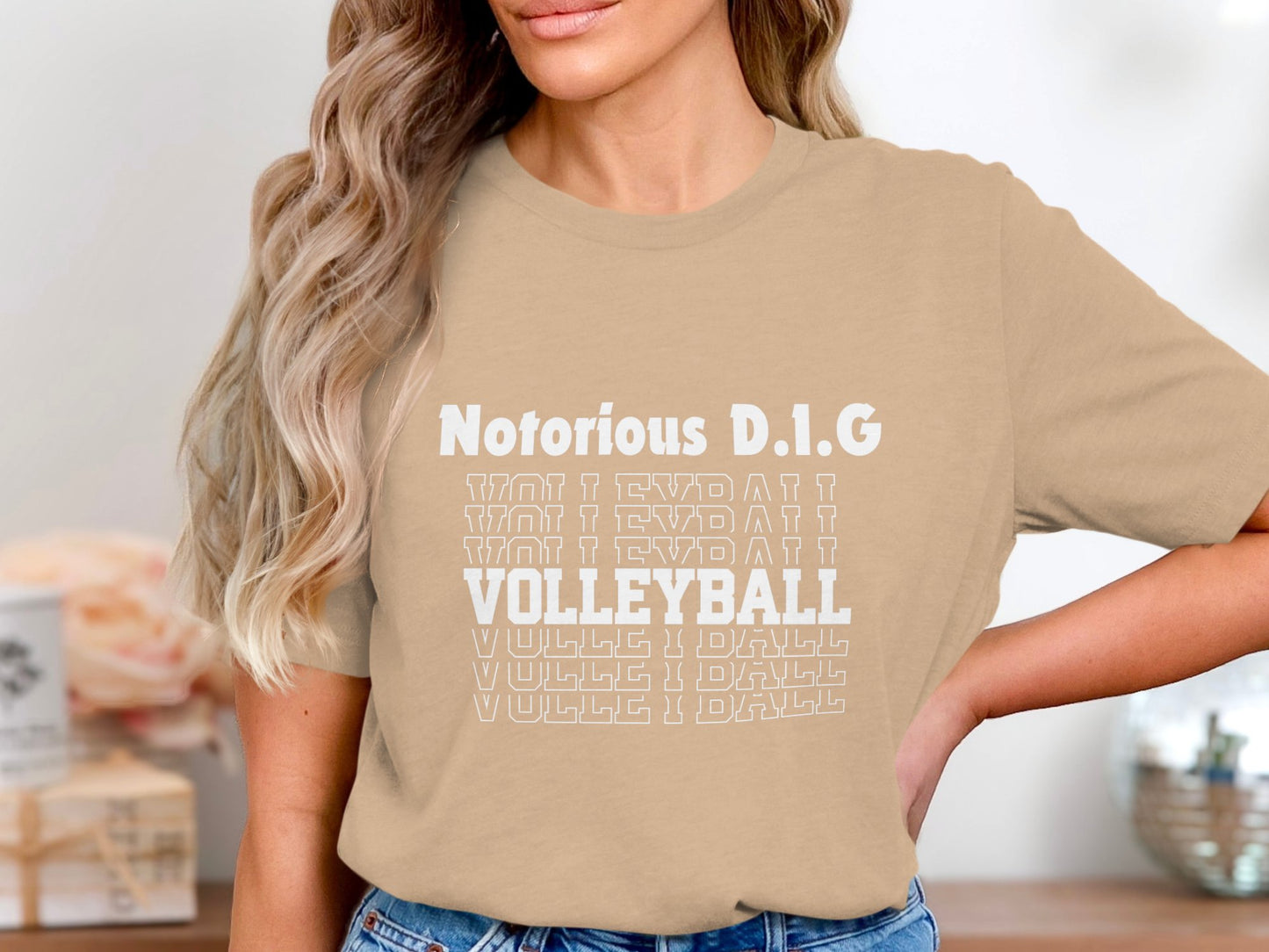 Notorious D.I.G Volleyball Stacked-white font